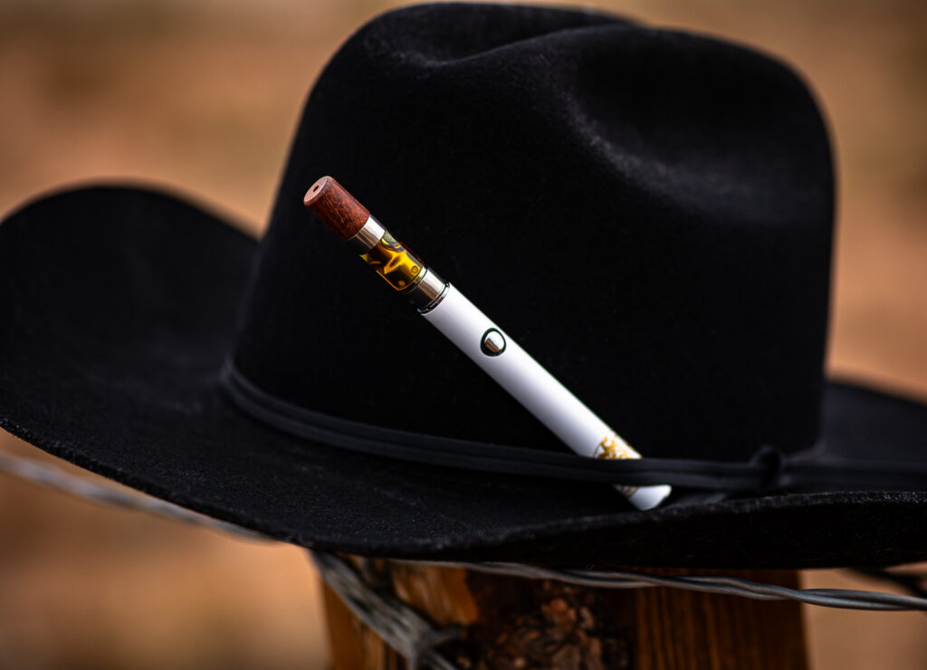 Outlaw 1022 1024x740